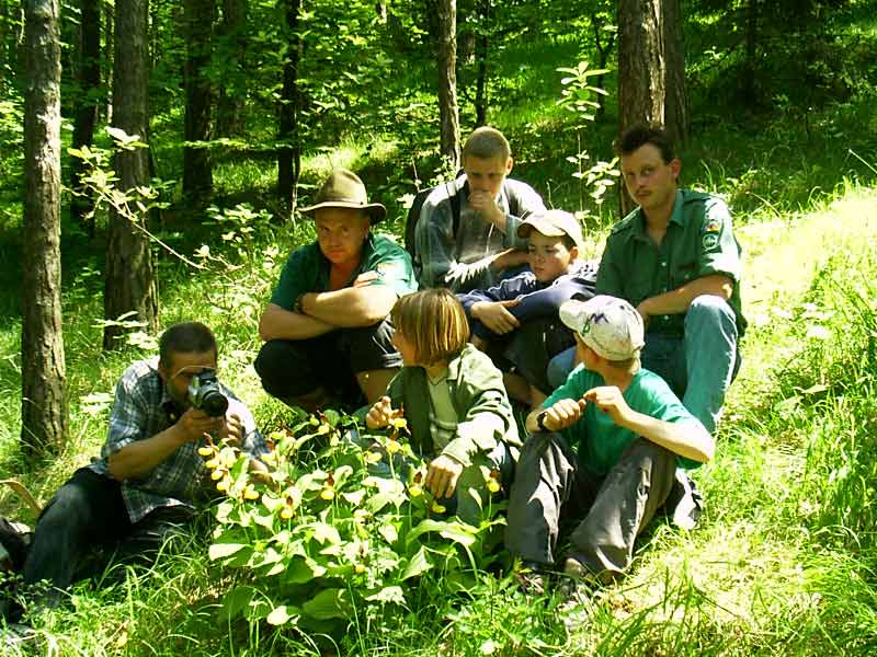 Beim kartieren von Wildorchideen in Thüringen